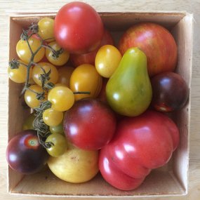 heirloom tomatoes